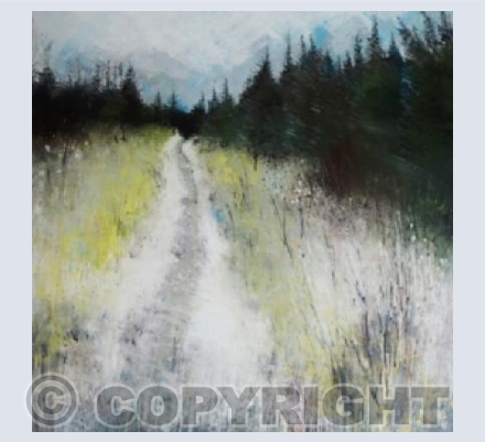 Winter Path