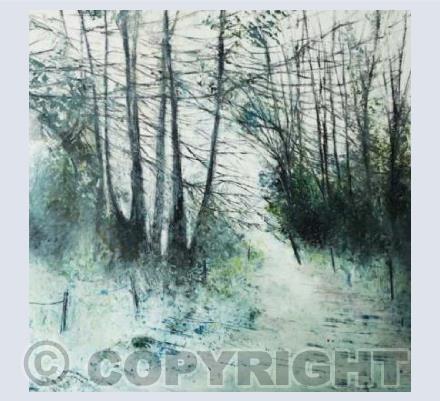 Winter walk