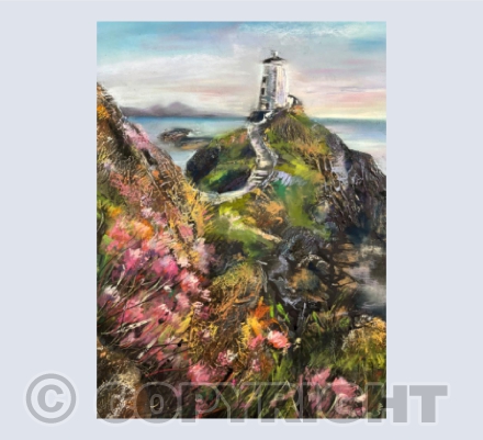 Ynys Llanddwyn / Llanddwyn Island