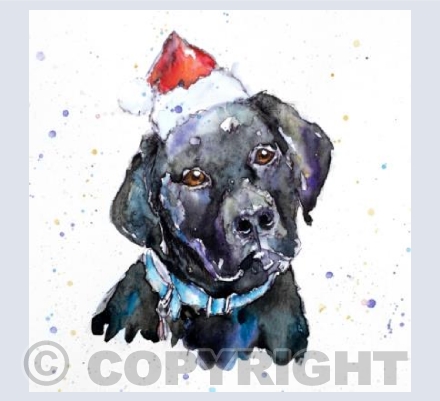 Black Labrador at Christmas