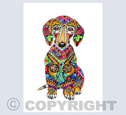 Dachshund