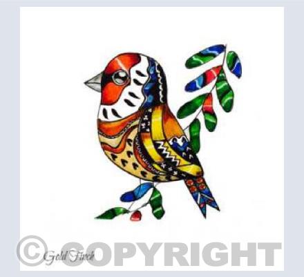 Gold Finch