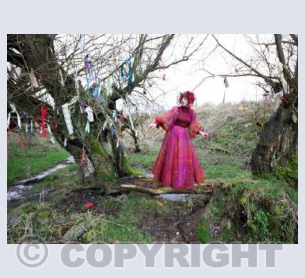 The Wishing Tree