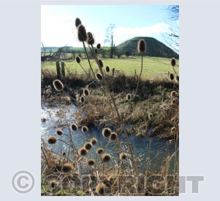 Silbury in the sunlight