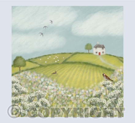 Summer Meadows