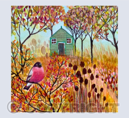 Bullfinch