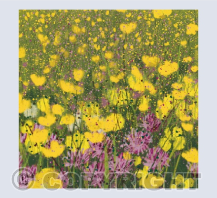 Clover and Buttercups