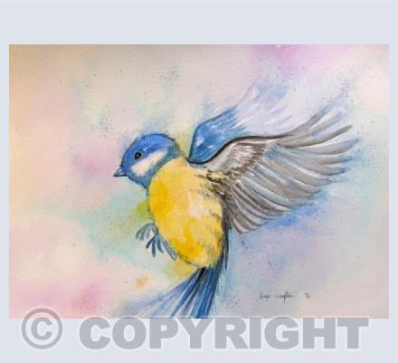 Bluetit