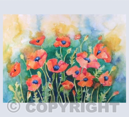 Dancing Poppies
