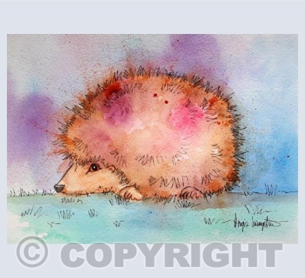 Hedgehog