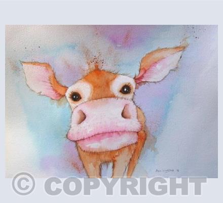 Nosey Cow