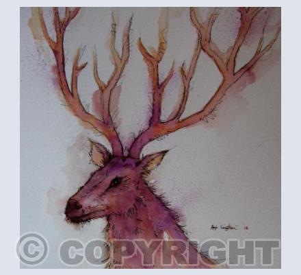 Stag Portrait