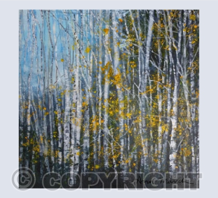 Autumn Birches