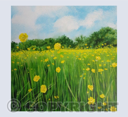 Summer Meadow