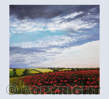 Poppy Field between Bibury and Burford
