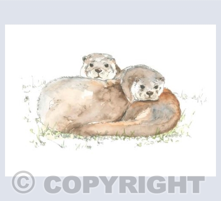 The Cuddly Otters