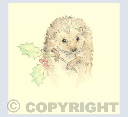 The Christmas Hegehog