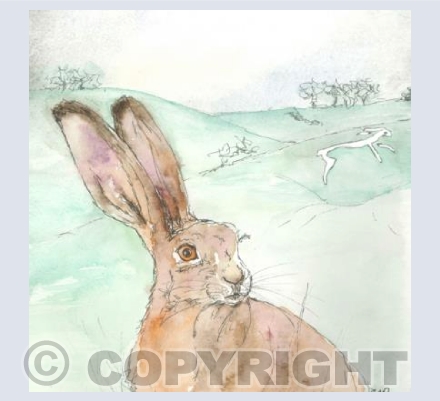 The Vale of the White Hare