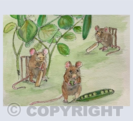 Cricket Playing Mice