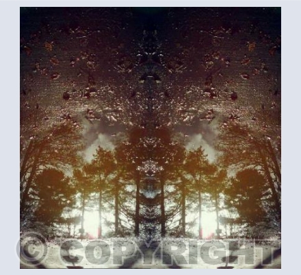 Reflected Symmetrical Puddles 