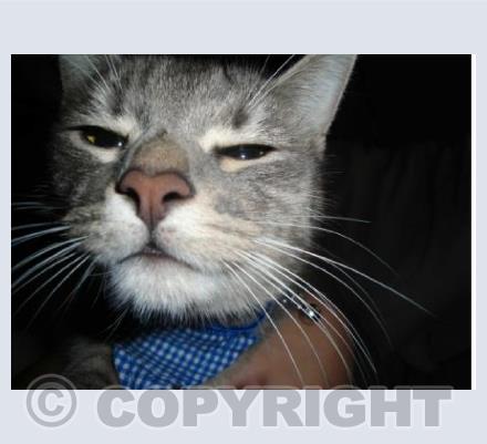 Are You Taliking To Me....?