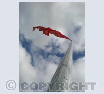 Fly Festival Flag, Fly!