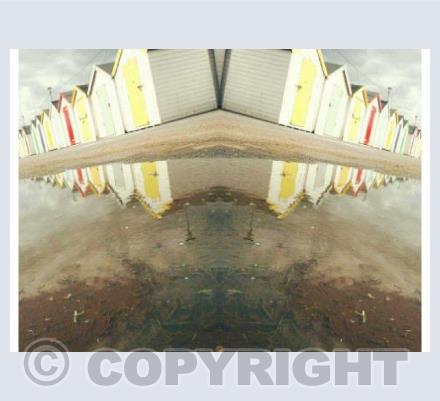 A Puddle Full Of Shed