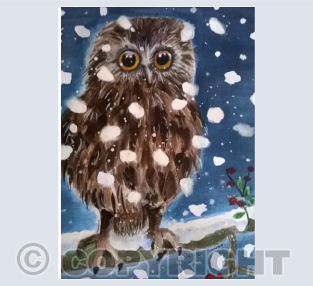 Baby owl in snow storm 
