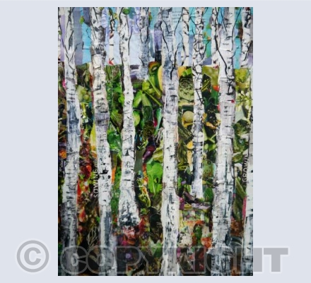 BIRCH TREES