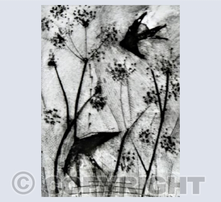 SWALLOWS