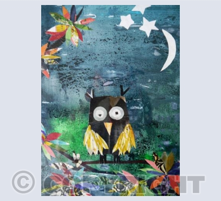 NIGHT OWL