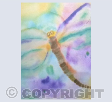 Greeting card . dragonfly .