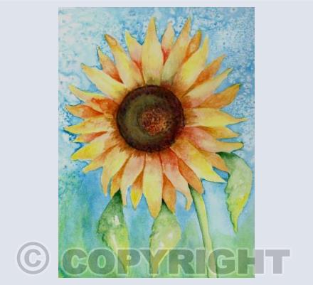 Sun Worshipper