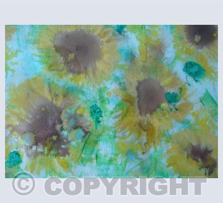Sunflowers