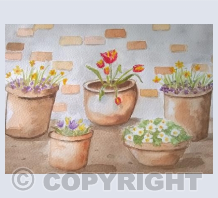 Spring Pots 