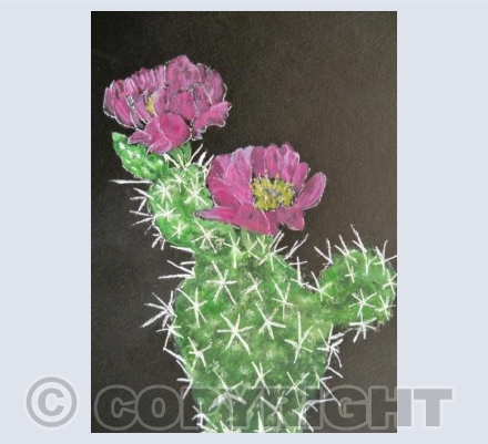 PRICKLY PEAR