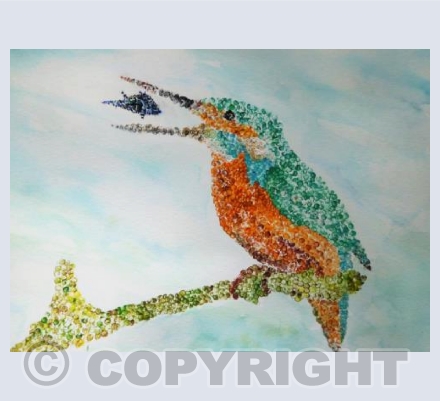 KINGFISHER 2