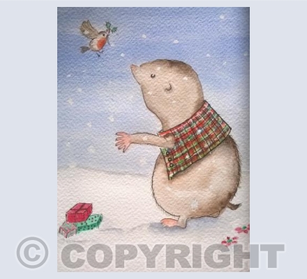 Little mole and Christmas Robin