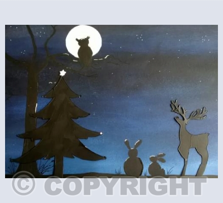 Searching for Santa's sleigh 