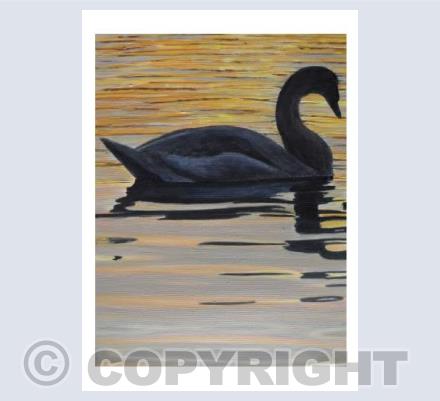 Swan lake