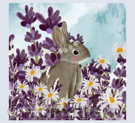 Daisy hare