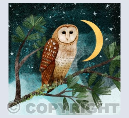 Yule owl