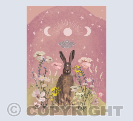 Hare wilflowers