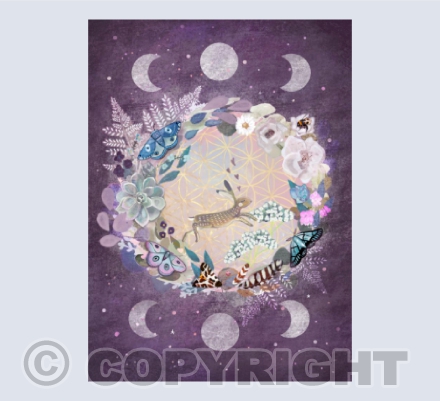 Moon phase hare