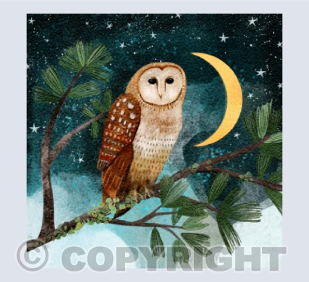 Yule owl