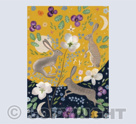 Summer sun hares