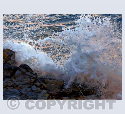 Sea Sea Je Suis 