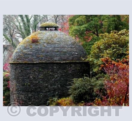 The Dove House