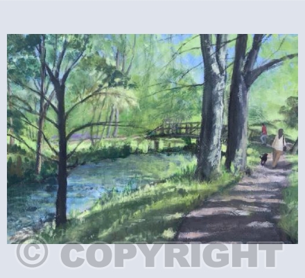 Early Spring in The Byes