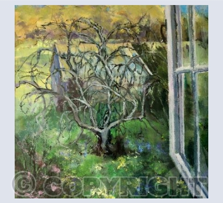 The Old Fig Tree in Spring